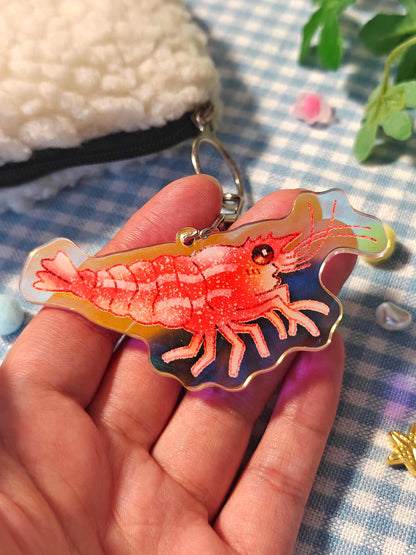 Cute Acrylic Keychain - Shrimp